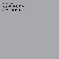 #A8A9AC - Silver Chalice Color Image